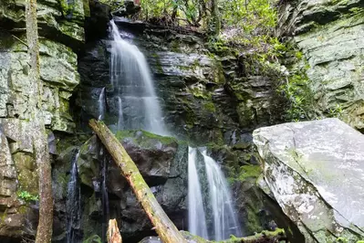 Baskins Creek Falls hiking trail in the Smoky Mountains