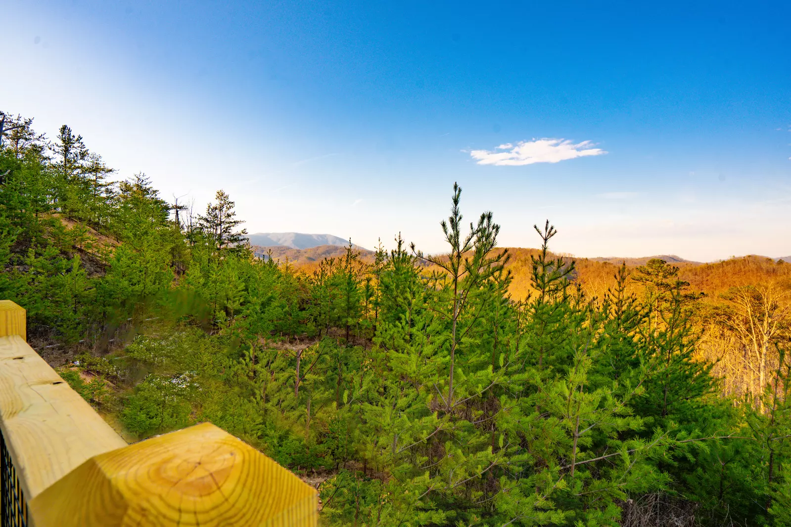 Amazing Adventure Lodge