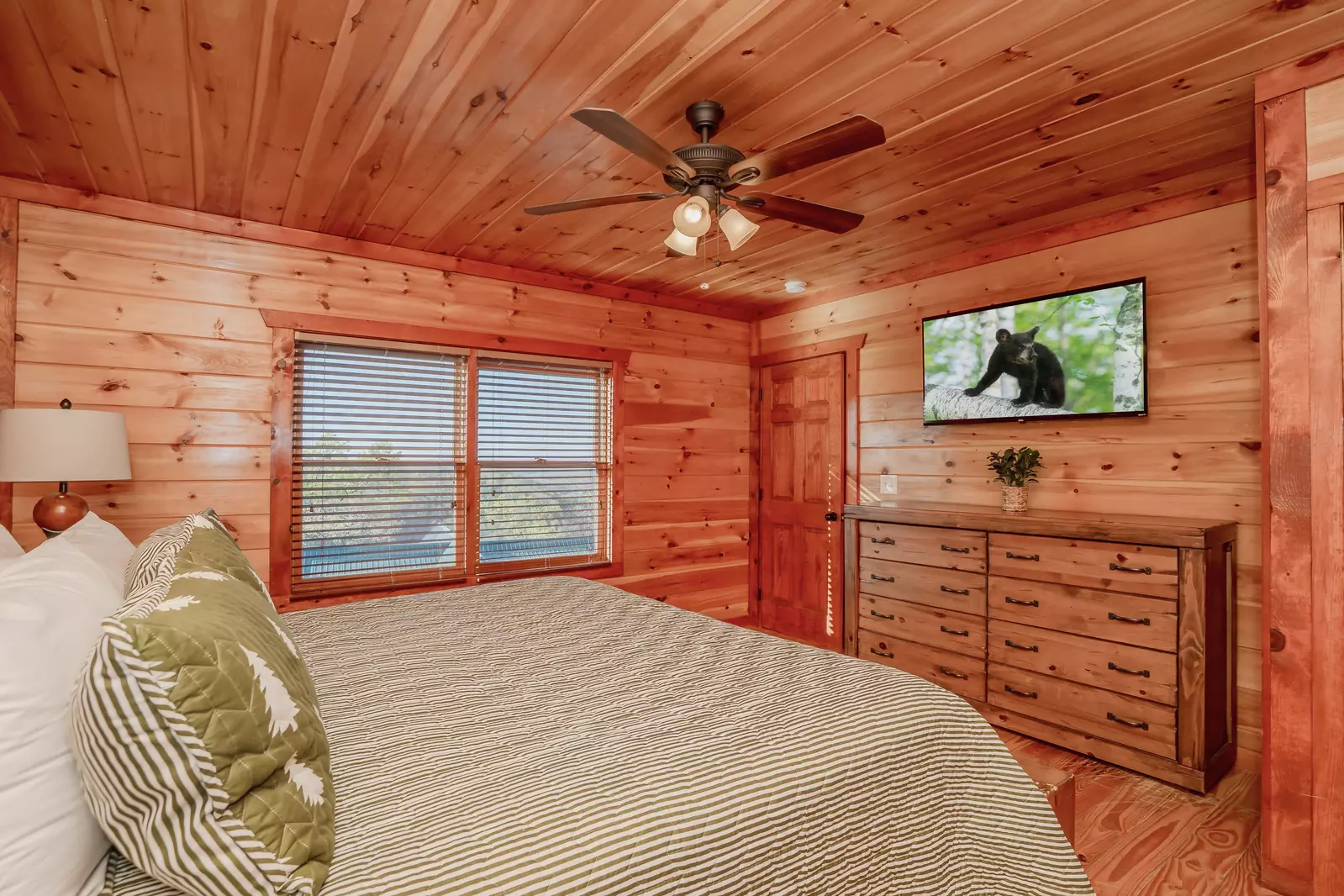 Amazing Adventure Lodge