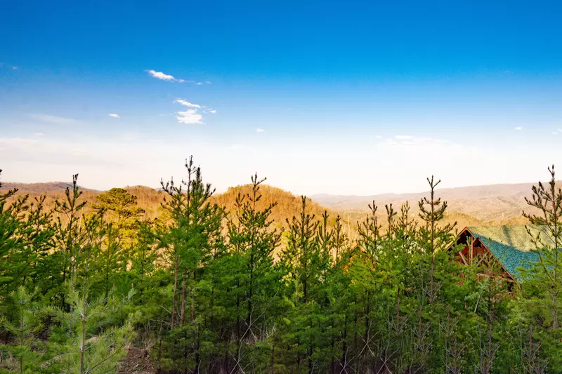 Amazing Adventure Lodge