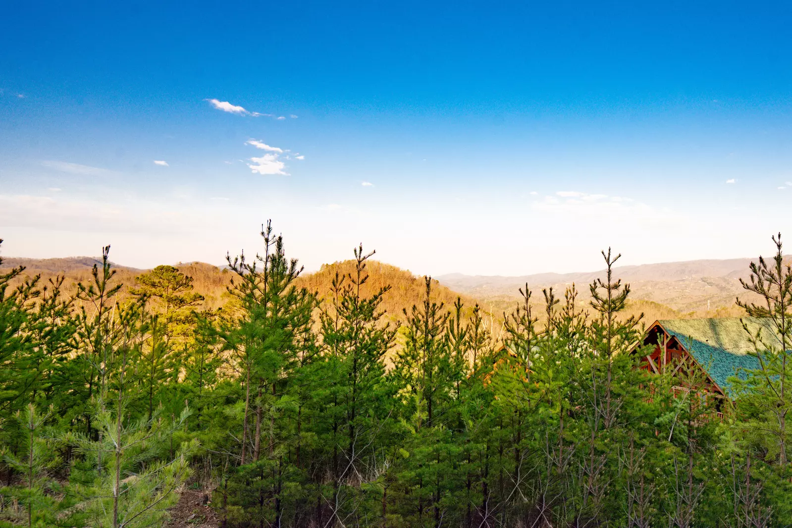 Amazing Adventure Lodge
