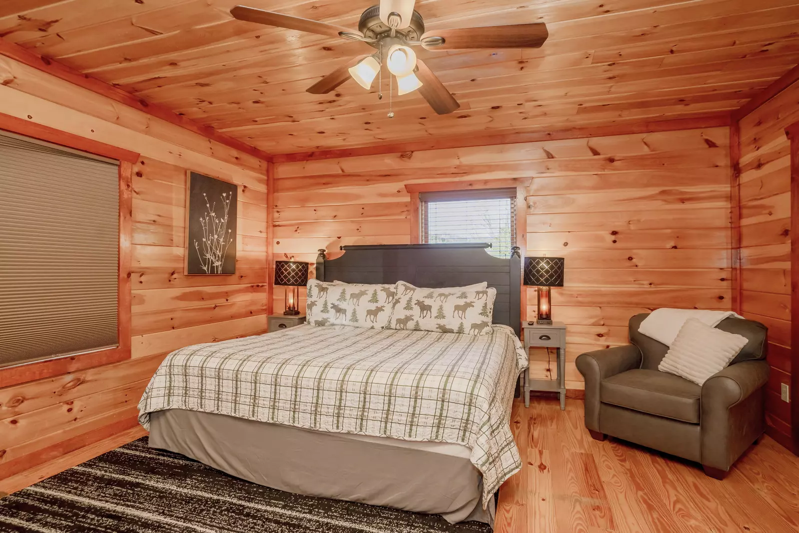 Amazing Adventure Lodge