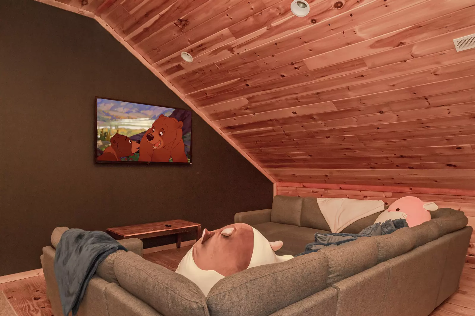Amazing Adventure Lodge