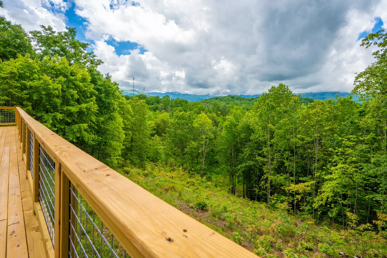 Mountain Vista