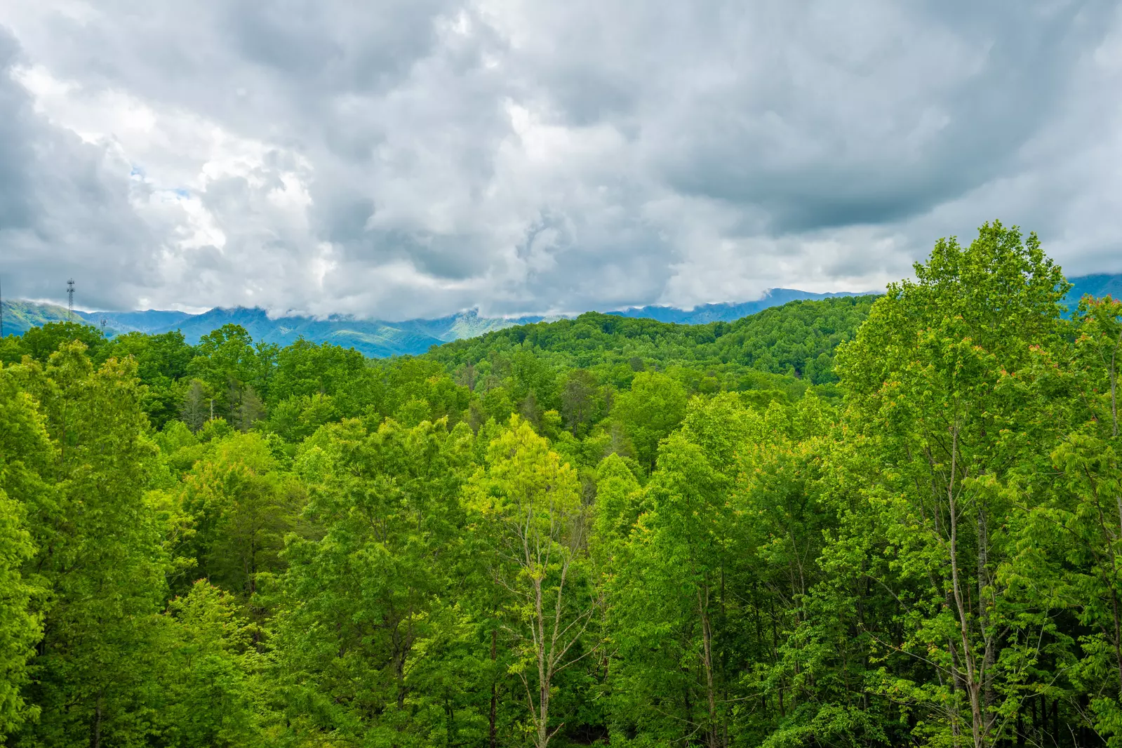 Mountain Vista