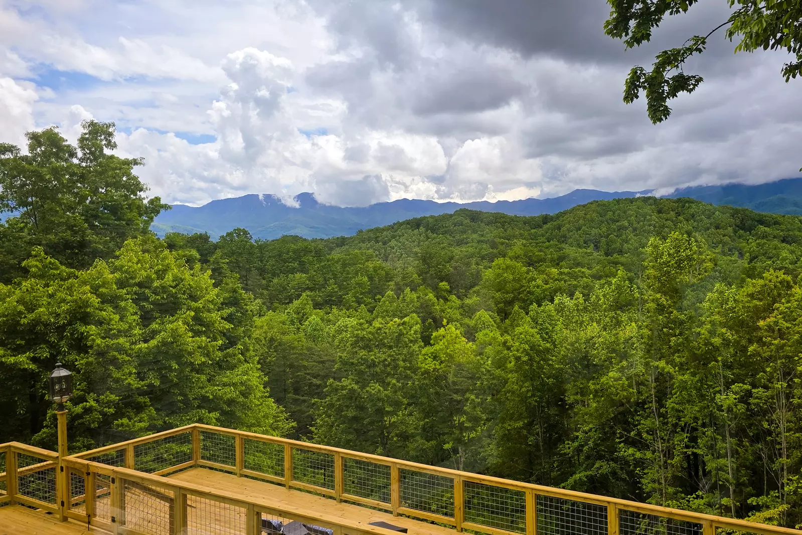 Mountain Vista