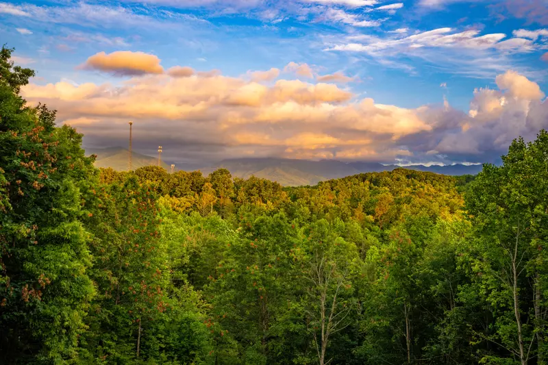 Mountain Vista