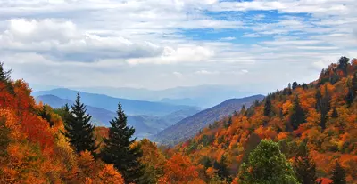 Rustic Ridge
