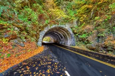 Fall Picture tunnel