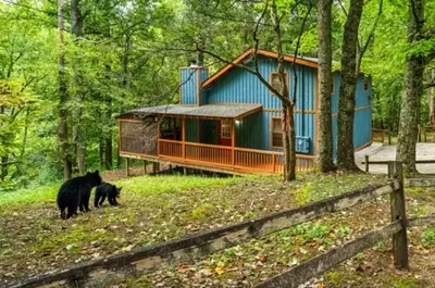 Dogwood Hideaway