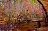 fall in the smoky mountains hiking bridge
