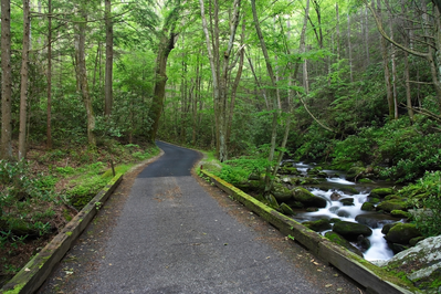 bridge on Roaring Fork Motor Nature Trail