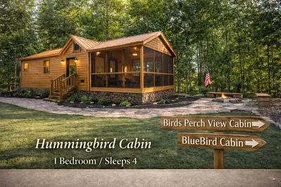 Birds Perch Hummingbird