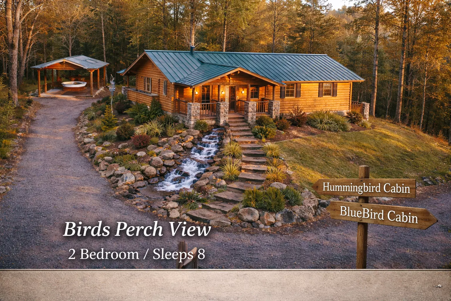 Birds Perch Hummingbird