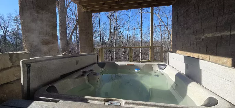 Birds Perch Bluebird