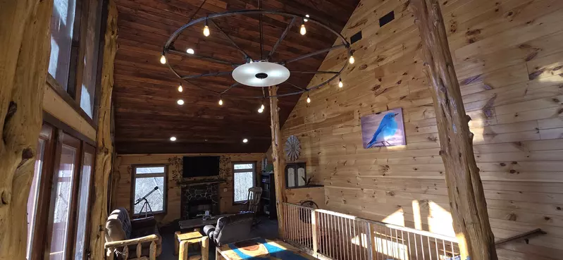 Birds Perch Bluebird