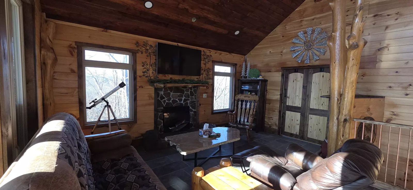 Birds Perch Bluebird