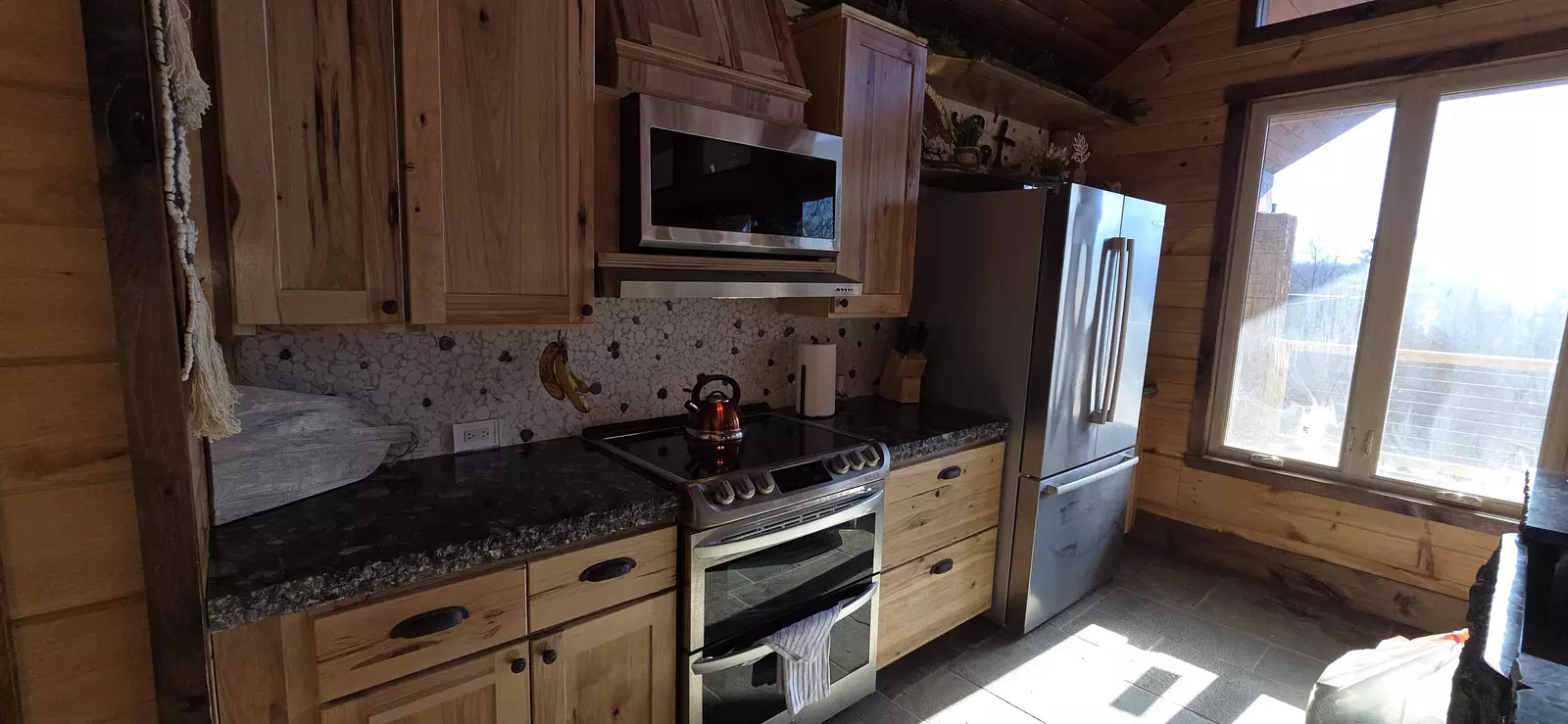 Birds Perch Bluebird