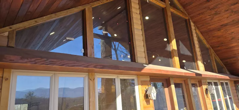 Birds Perch Bluebird