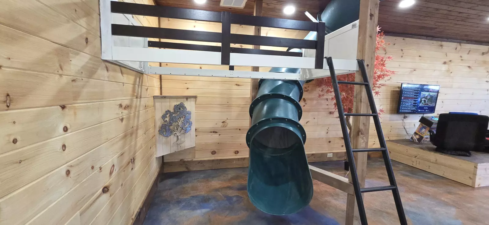 Birds Perch Bluebird