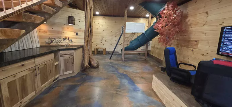 Birds Perch Bluebird