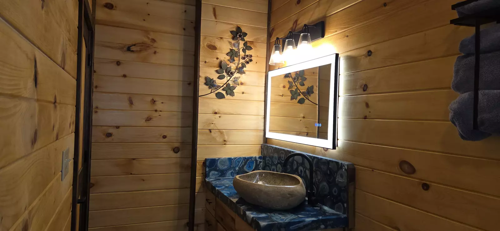 Birds Perch Bluebird