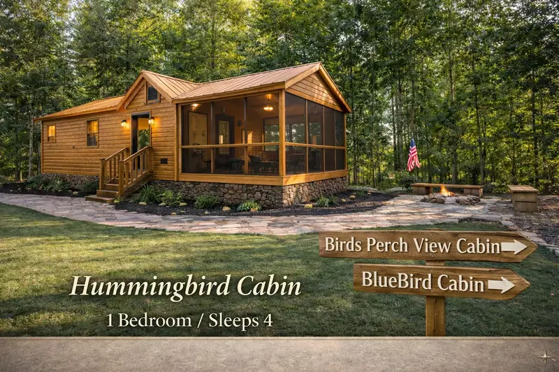 Birds Perch Bluebird