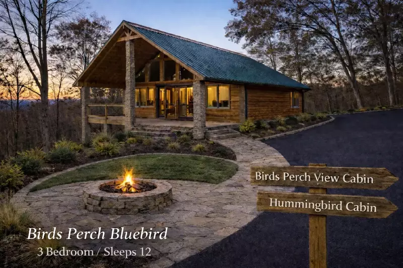 Birds Perch Hummingbird