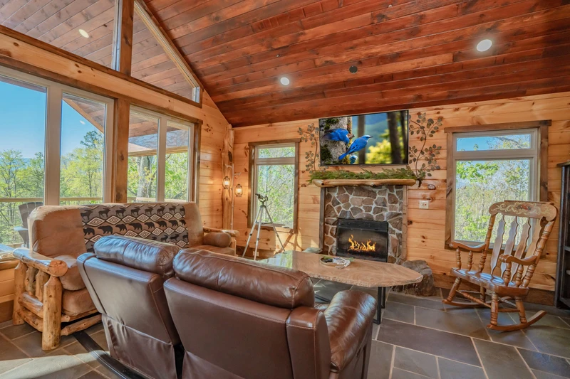 Birds Perch Bluebird