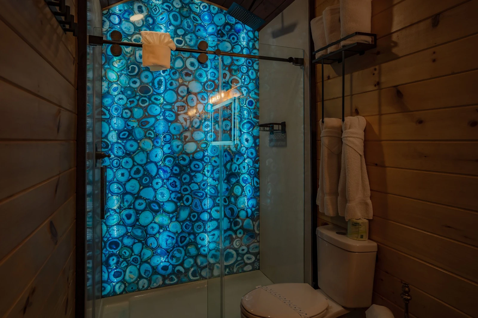 Birds Perch Bluebird