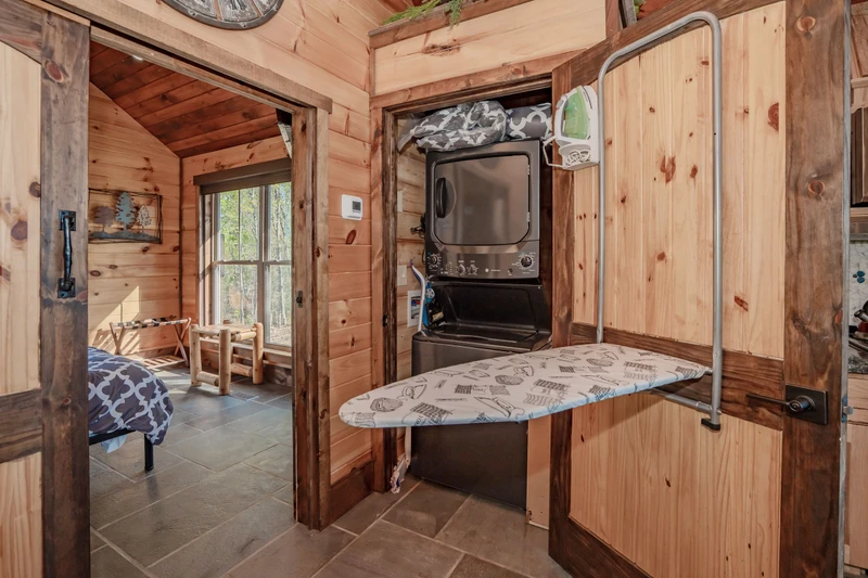 Birds Perch Bluebird