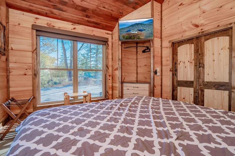 Birds Perch Bluebird