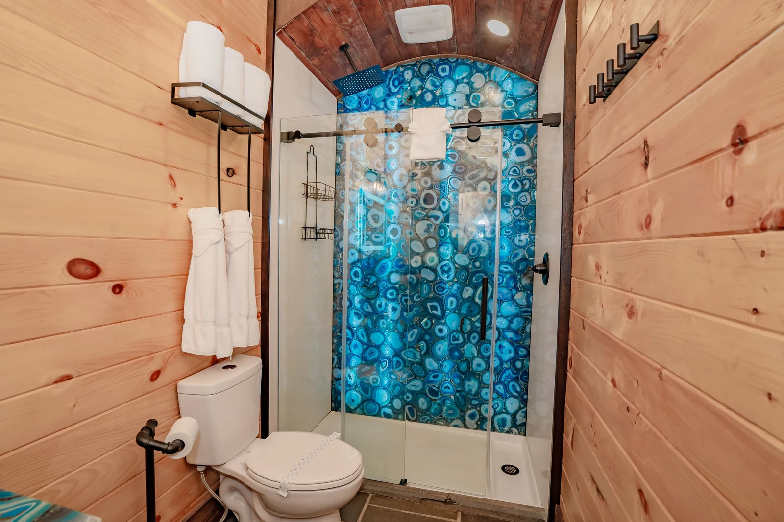 Birds Perch Bluebird