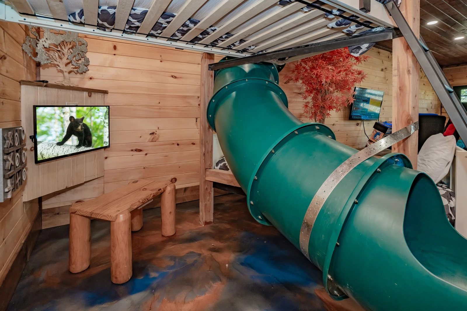 Birds Perch Bluebird