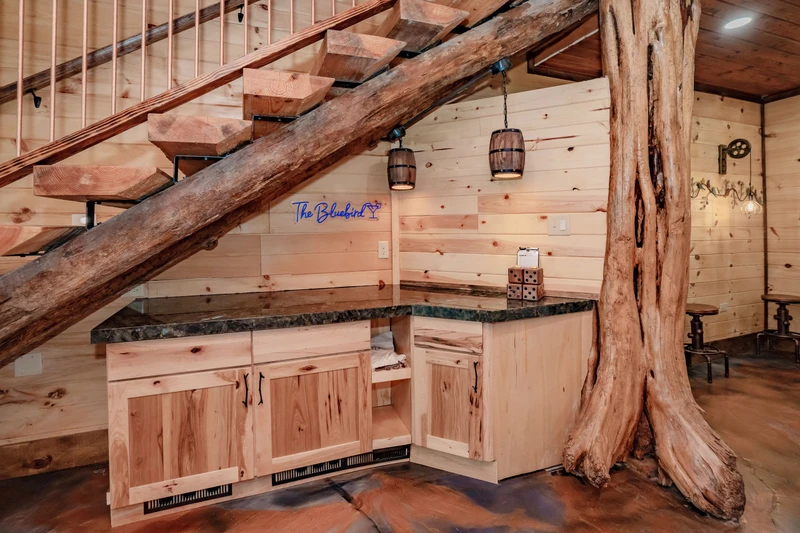 Birds Perch Bluebird