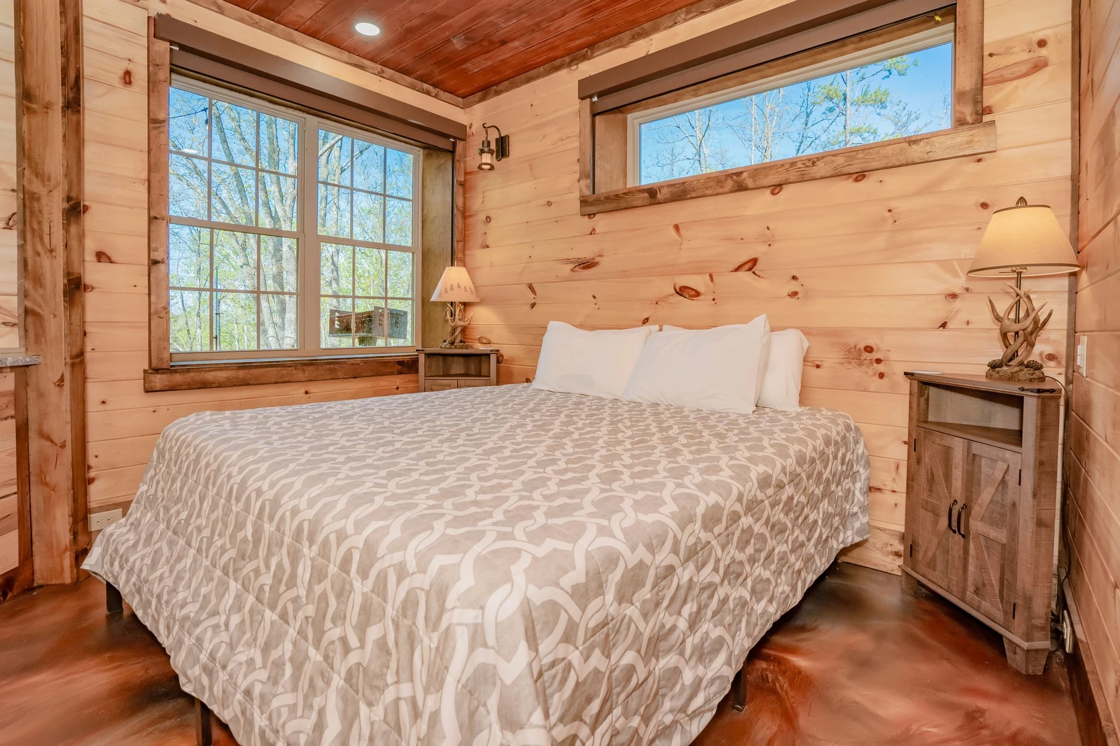 Birds Perch Bluebird