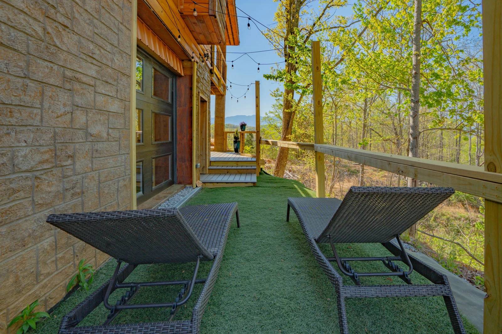 Birds Perch Bluebird