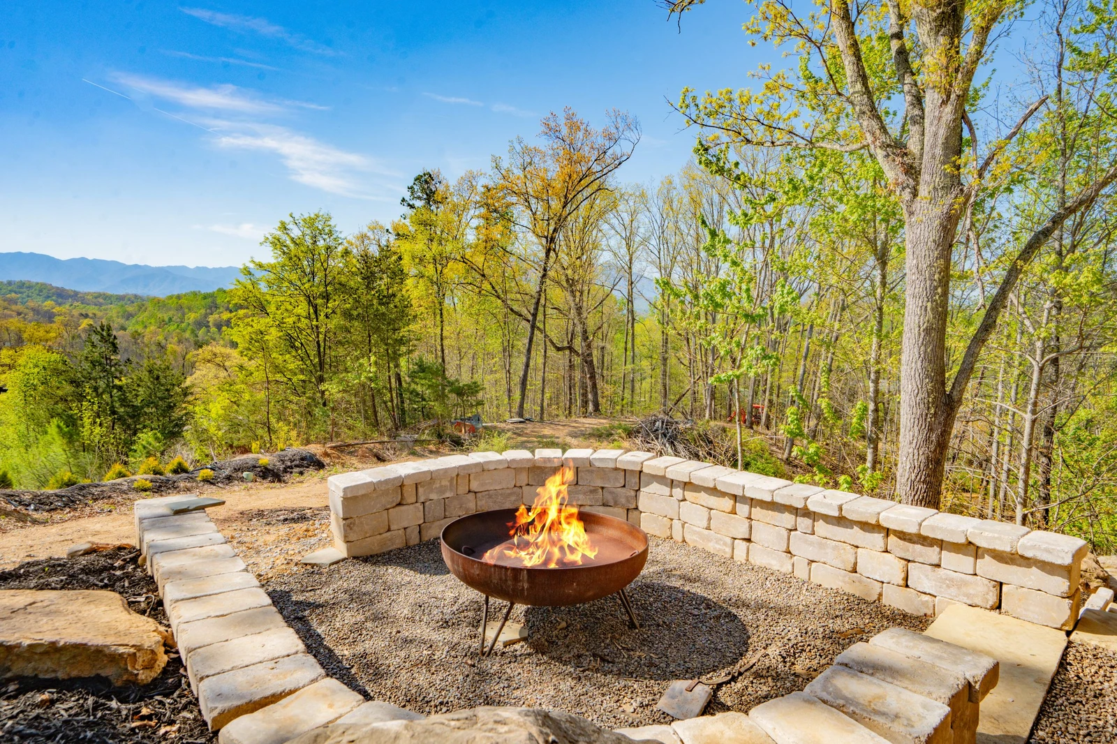 Birds Perch Bluebird
