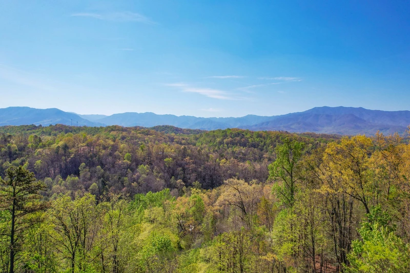 Birds Perch Bluebird