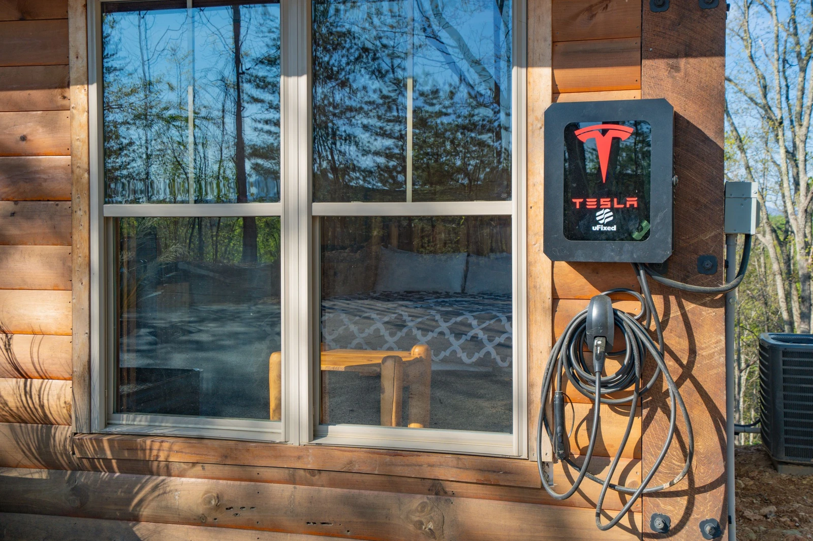 Birds Perch Bluebird