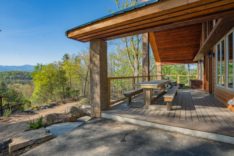 Birds Perch Bluebird