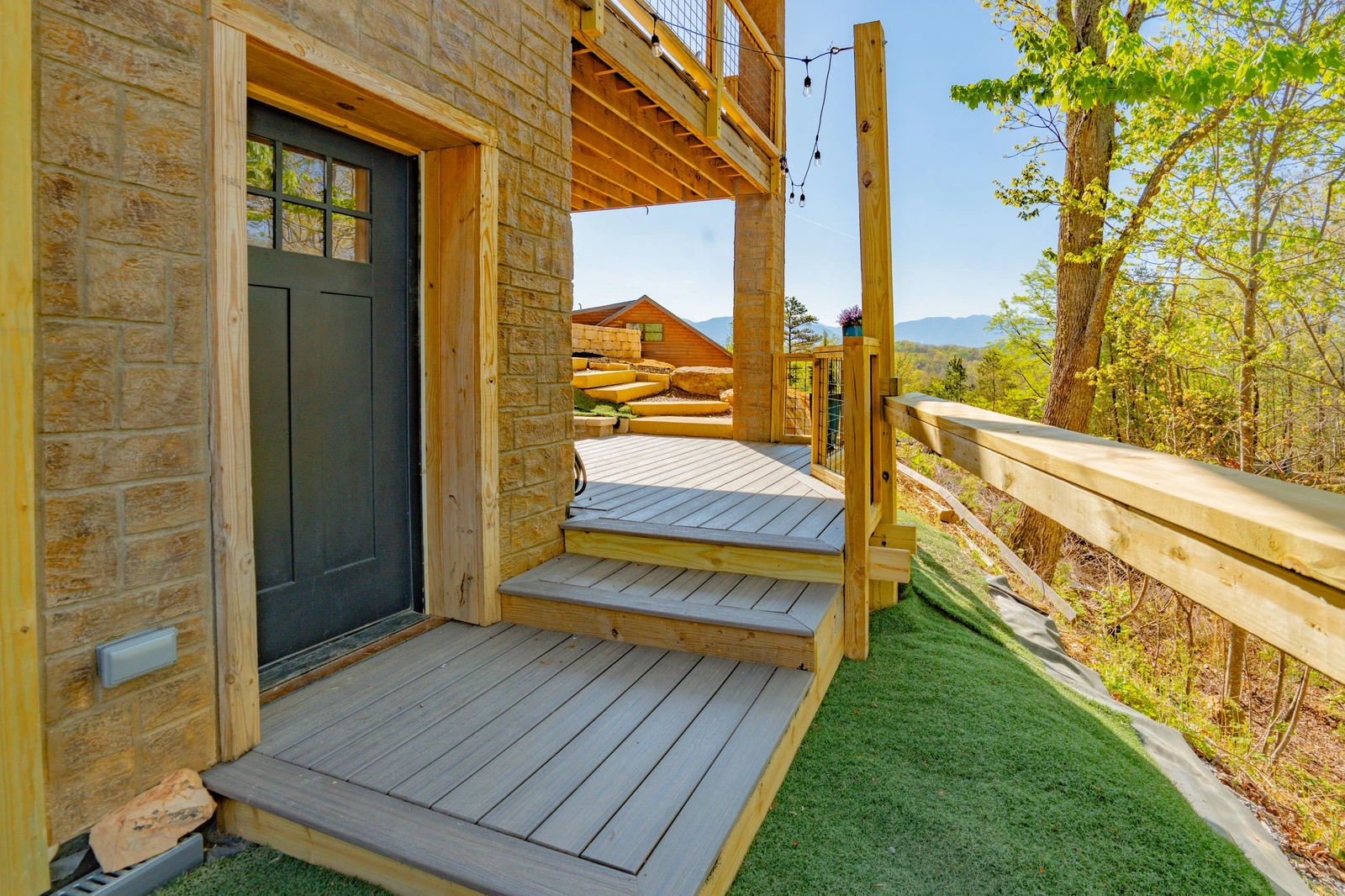 Birds Perch Bluebird