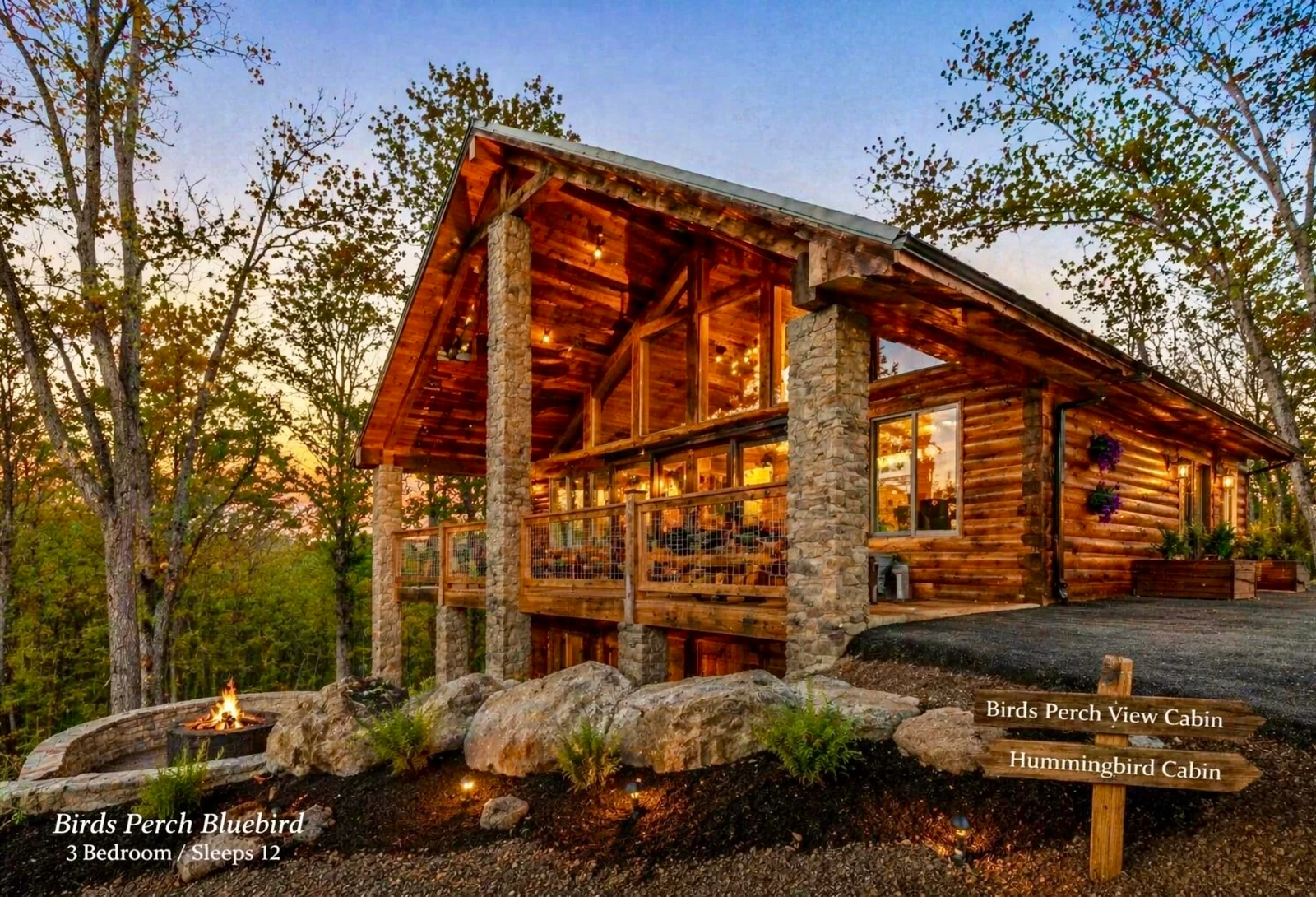 Birds Perch Bluebird