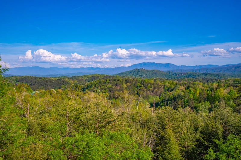 A View to Remember