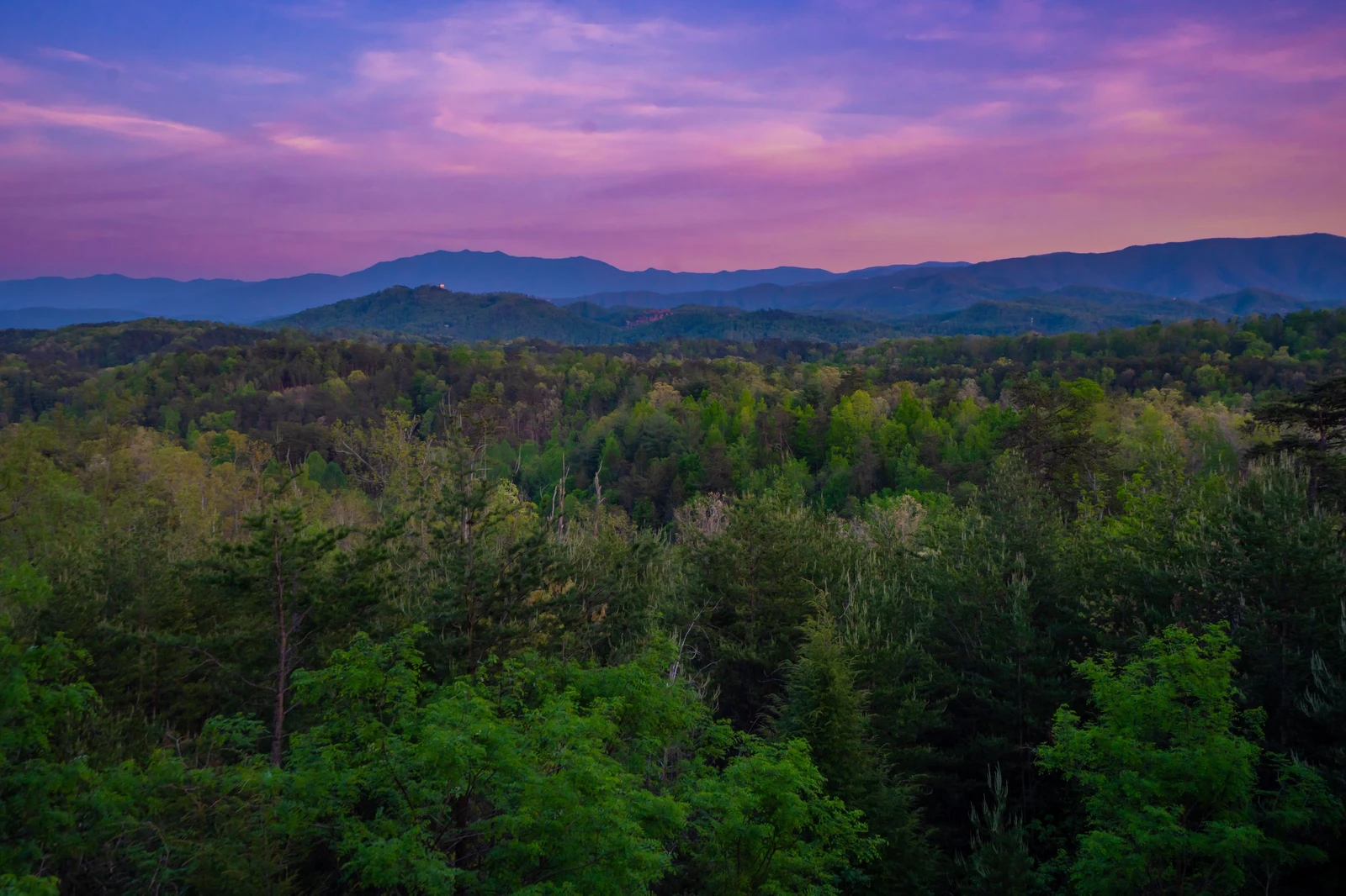 A View to Remember