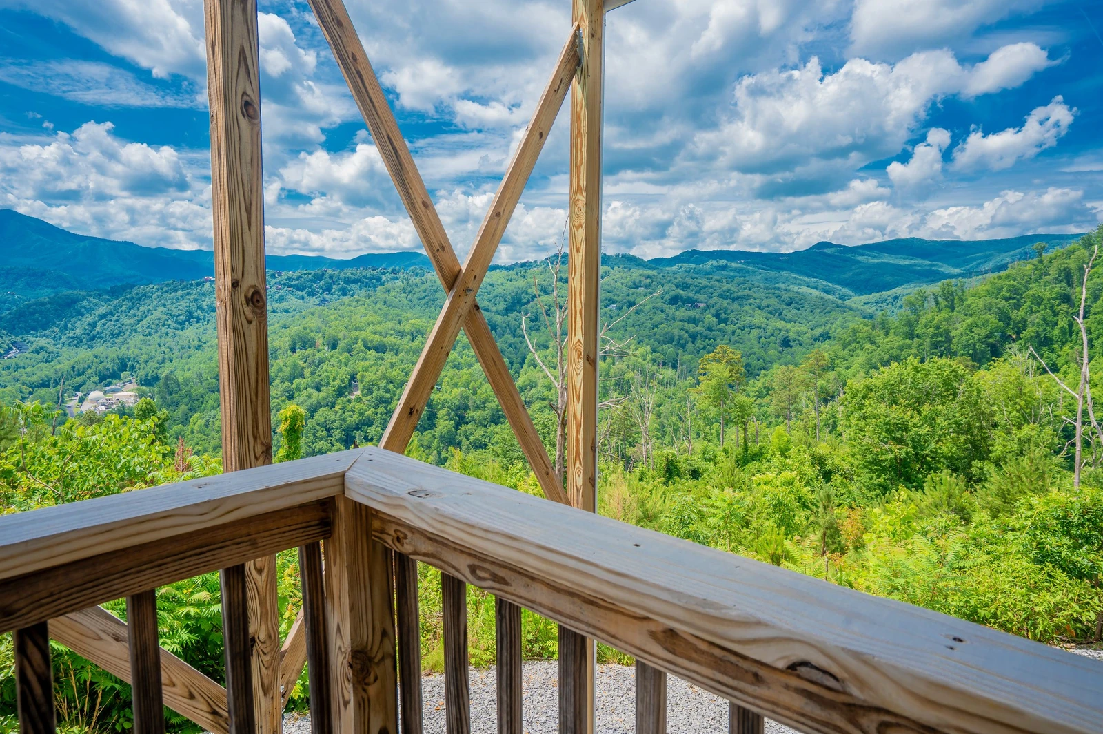Mountain Top LeConte