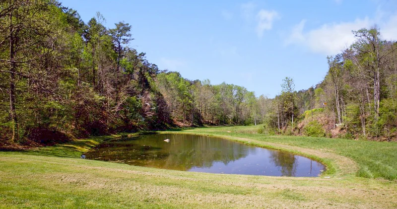70 Acre Mountain Farmstead