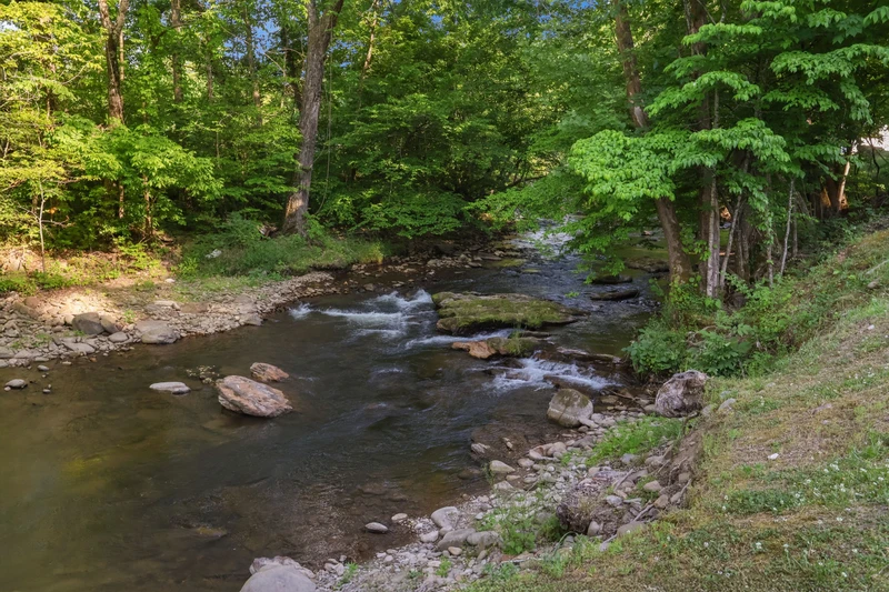 Quaint Cabin on Cosby Creek