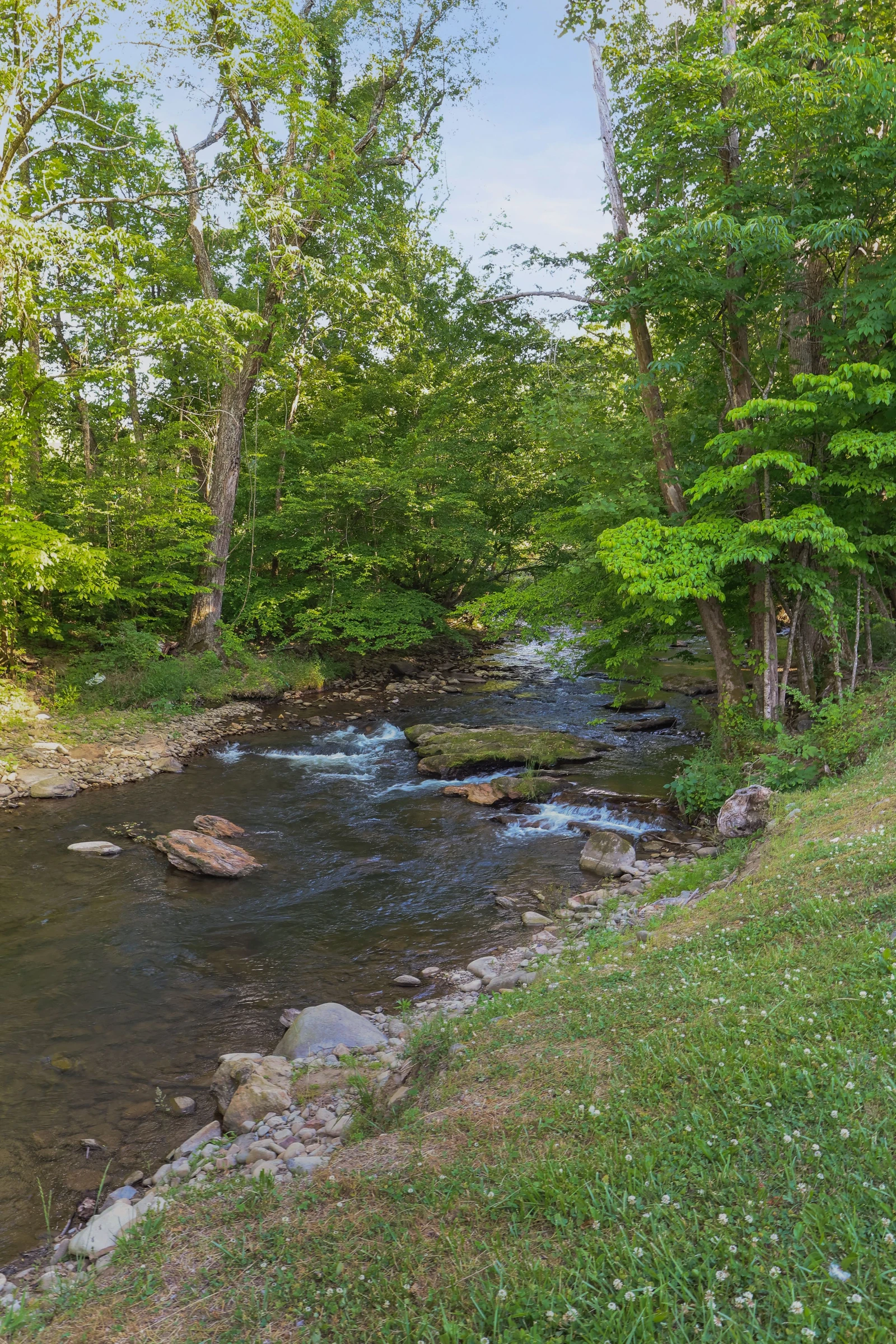 Quaint Cabin on Cosby Creek