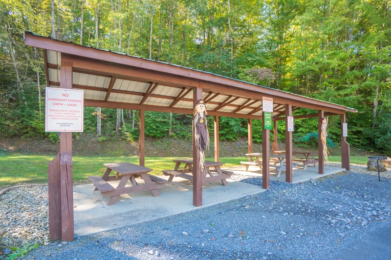 Cozy Bear Retreat